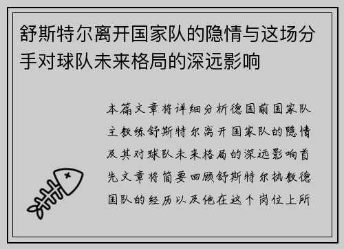 舒斯特尔离开国家队的隐情与这场分手对球队未来格局的深远影响