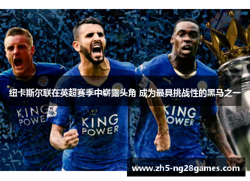 纽卡斯尔联在英超赛季中崭露头角 成为最具挑战性的黑马之一