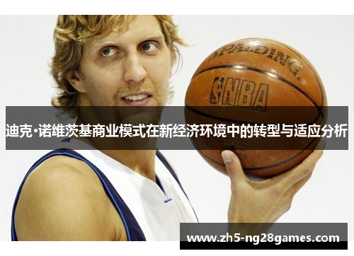 迪克·诺维茨基商业模式在新经济环境中的转型与适应分析