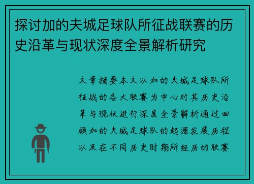 探讨加的夫城足球队所征战联赛的历史沿革与现状深度全景解析研究